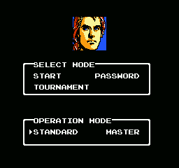 Flying Warriors screenshot 4 for NES